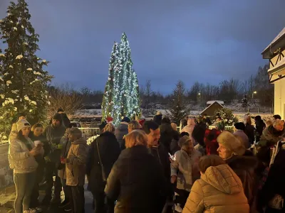 Einschalten der Lichter am Weihnachtsbaum