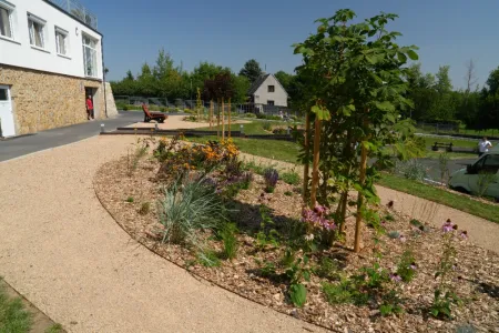 Garten & Bepflanzung