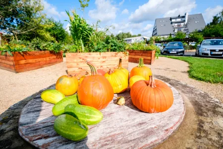 Garten & Bepflanzung