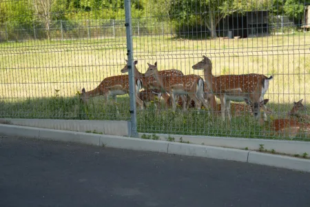 Garten & Bepflanzung