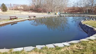 Der Teich