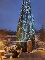 Einschalten der Lichter am Weihn...