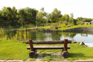 Unser Teich