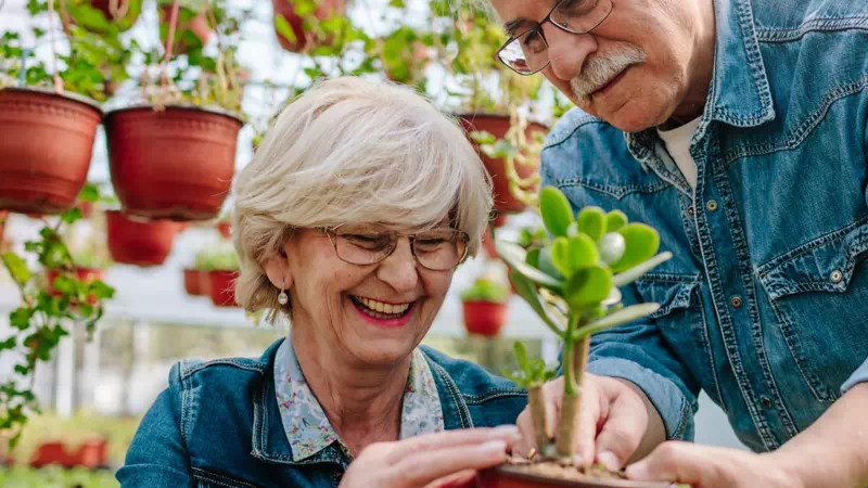 Gartentherapie